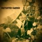 Imagine If - Distorted Garden lyrics