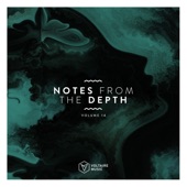 Notes from the Depth, Vol. 14 artwork