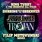 Dubbing with the Observer (Filip Motovunski Remix) artwork