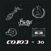 Союз-30 artwork