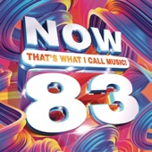 Now That's What I Call Music Vol. 83 artwork