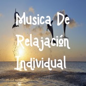 Música De Relajación Individual artwork