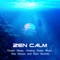 Liquid Ocean Waves - Calm Sea Ambient lyrics