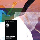 Wild Ocean (Instrumental) artwork