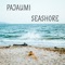 Seashore - PAJAUMI lyrics