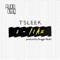 I Like - T Sleek lyrics