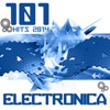 Electronica 101 Hits 2014