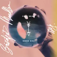 Can't Bring This Down - Single by Bridgit Mendler & Pell album reviews, ratings, credits