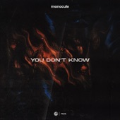 You Don't Know (Extended Mix) artwork