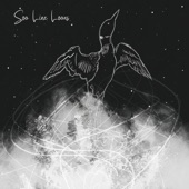 Soo Line Loons - Hope (feat. Charlie Parr)