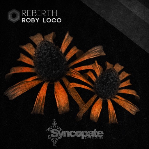 Rebirth - Single by Roby Loco