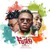 Funke (Remix) [feat. Davido & Mayorkun] - Single album lyrics, reviews, download
