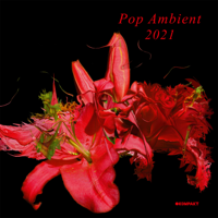 Various Artists - Pop Ambient 2021 artwork