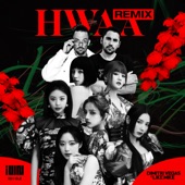 HWAA (Dimitri Vegas & Like Mike Remix) artwork