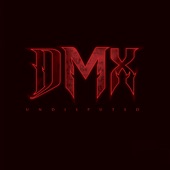 DMX - Cold World (feat. Adreena Mills)
