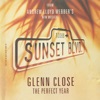 The Perfect Year (Music From "Sunset Boulevard") - Single, 1993