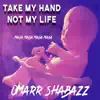 Take My Hand Not My Life song lyrics