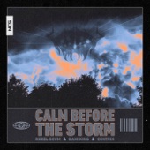 Calm Before the Storm artwork