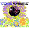 The Foundations - Build Me Up Buttercup  artwork