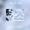 City of Joy (Live) - Single album lyrics, reviews, download
