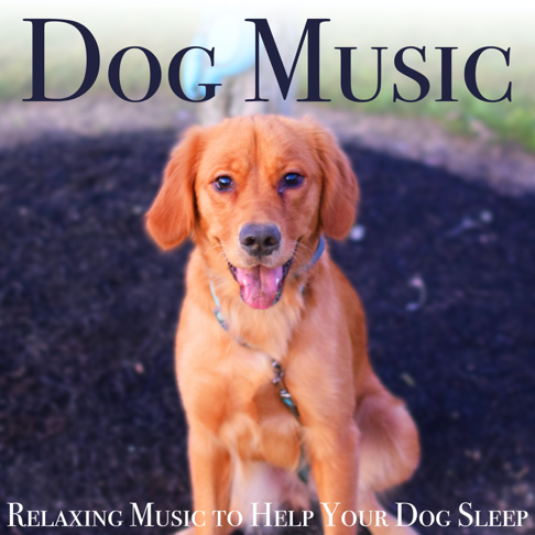 relax my dog dog lullaby