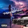 Prohibition - Single