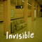 Invisible artwork