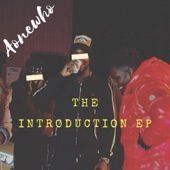 The Introduction - EP artwork