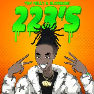 223's (feat. 9lokknine) by YNW Melly song reviws