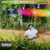 Don Waun Freestyle - Single album lyrics, reviews, download