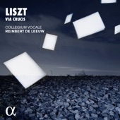 Liszt: Via Crucis artwork