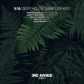 Deep House Sampler 001 artwork