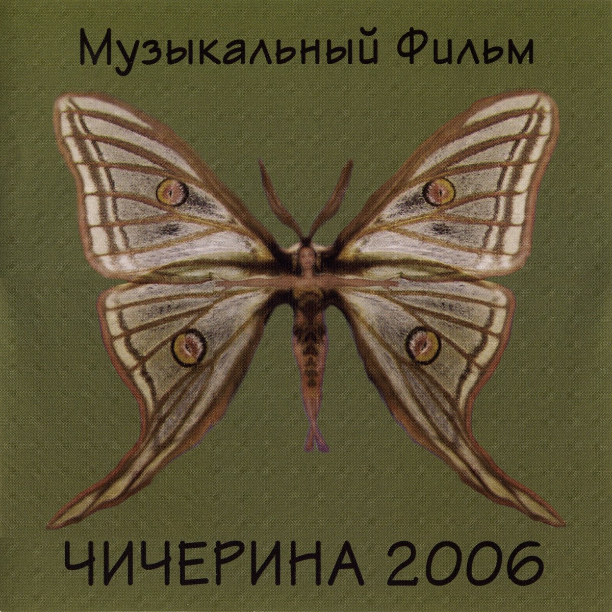 Муз 2006. Чичерина обложка. Чичерина обложка альбома.