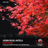 Deep Within (Christian Monique Remix) artwork