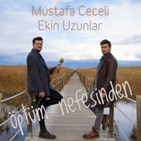 ℗ 2020 Doğan Müzik Yapım