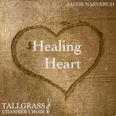 Healing Heart artwork