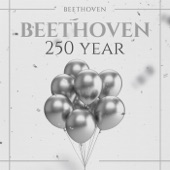 Beethoven 250 Year artwork