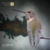 Colibri EP