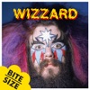 Wizzard - I Wish It Could Be Christmas Everyday (2006 Remastered Version)
