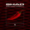 Spicy (feat. Craigy-T) - Single album lyrics, reviews, download