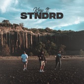 KEEP IT STNDRD - EP artwork