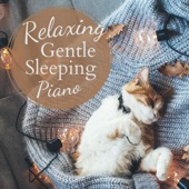 Relaxing Gentle Sleeping Piano artwork