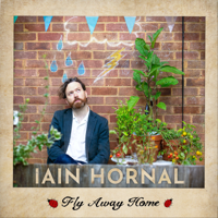 Iain Hornal - Fly Away Home artwork