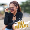 Pura Pura Malu - Single