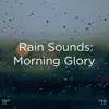 !!!" Rain Sounds: Morning Glory "!!! album lyrics, reviews, download