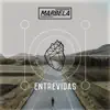 Entrevidas - Single album lyrics, reviews, download