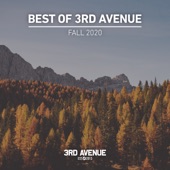 Best of 3rd Avenue  Fall 2020 artwork