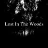 Lost in the Woods album lyrics, reviews, download