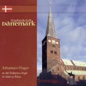 Orgellandschaft Dänemark (Johannes Unger an der Frobenius-Orgel im Dom zu Århus) - Johannes Unger
