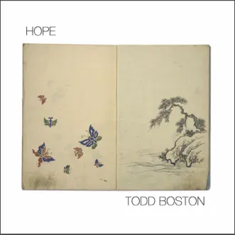 Wings by Todd Boston song reviws